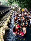 Bali - Tirta Empul (Temple des eaux sacrées)